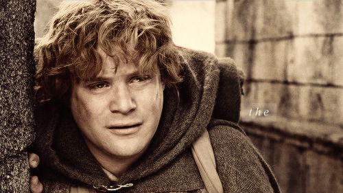 Don't you leave him Samwise Gamgee | Samwise gamgee, Lord of the rings, The  hobbit